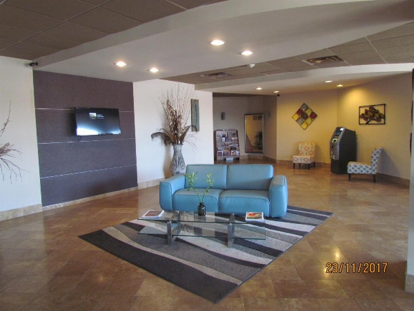 Suite Dreams Hotel image 9